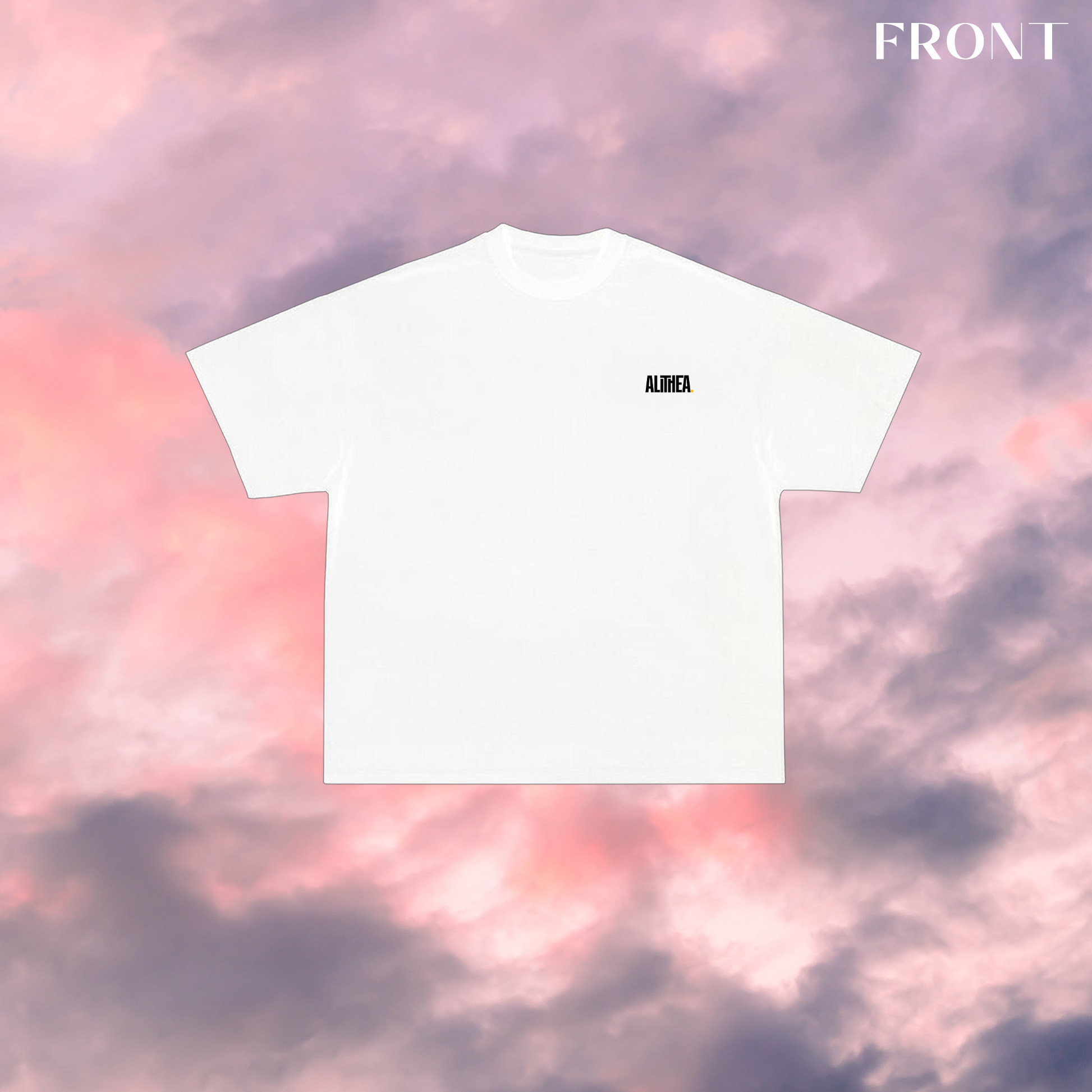 THE LOST SHEEP-CHRISTIAN EDITION