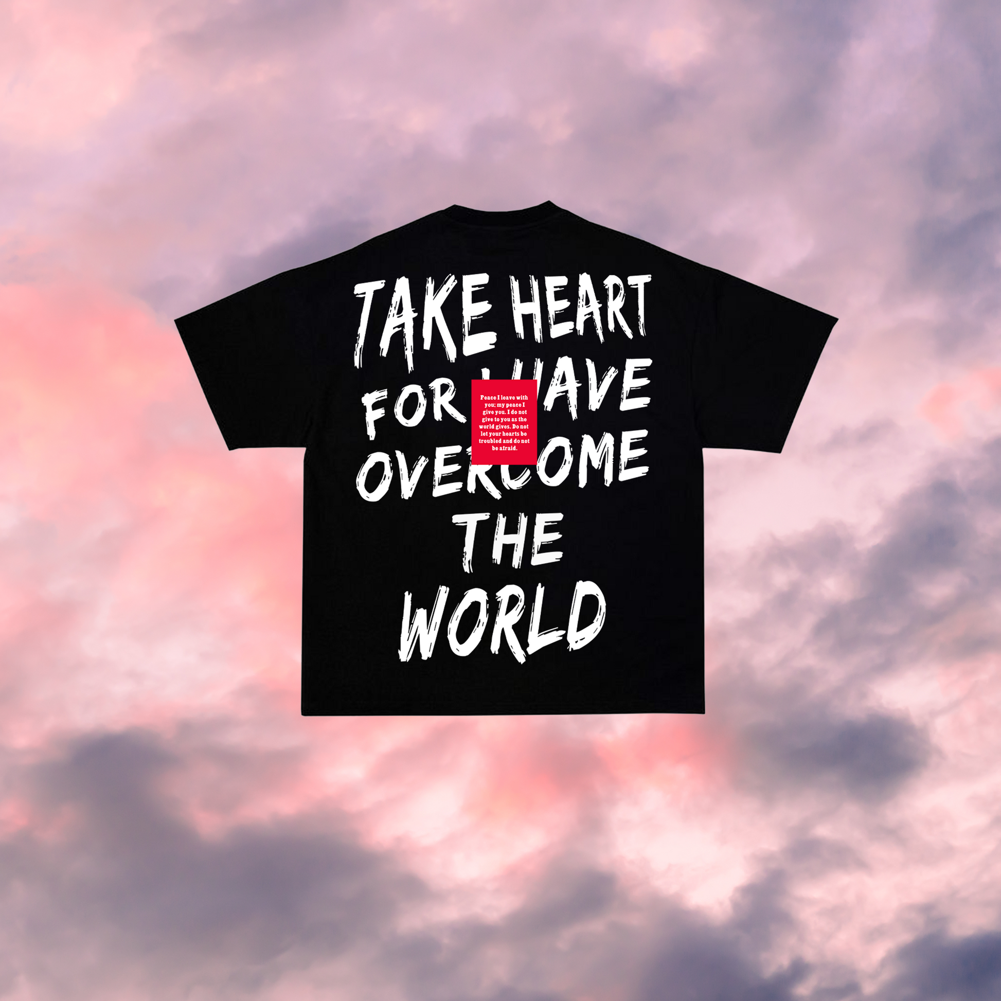 TAKE MY HEART-CHRISTIAN EDITION